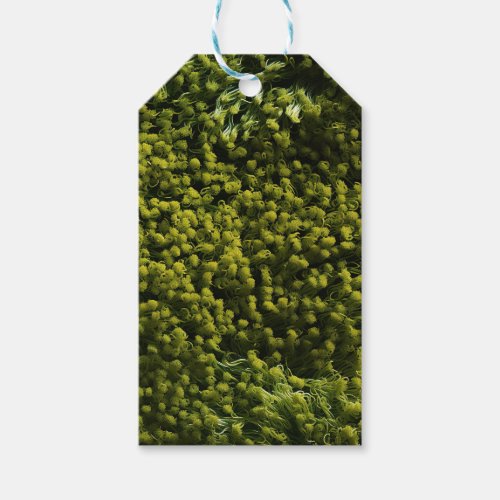 Lush Green Mossy Carpet  Gift Tags