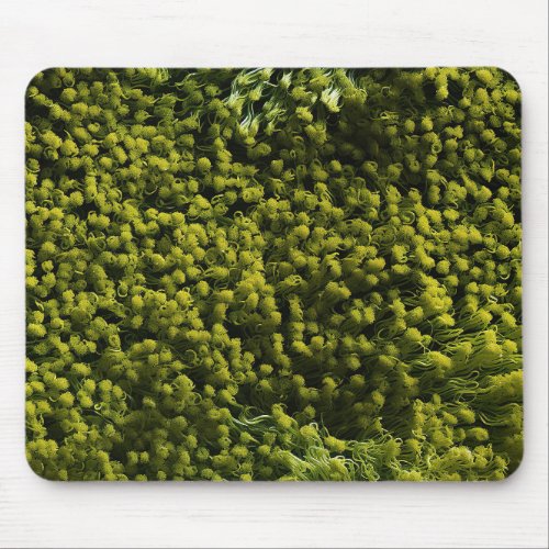 Lush Green Mossy Carpet  Mouse Pad