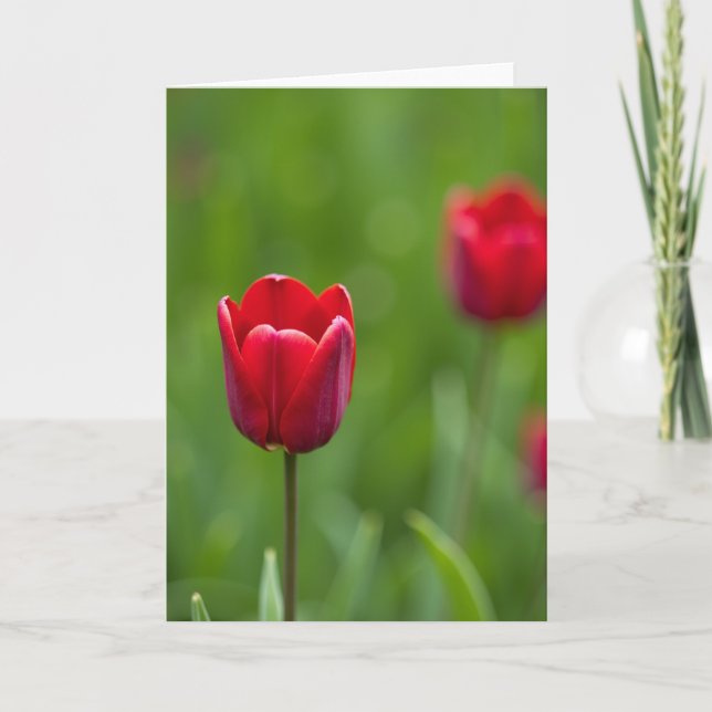 Lush Green Mothers Day Photo Card (Front)