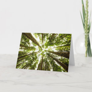 Lush Green Rain Forest Card