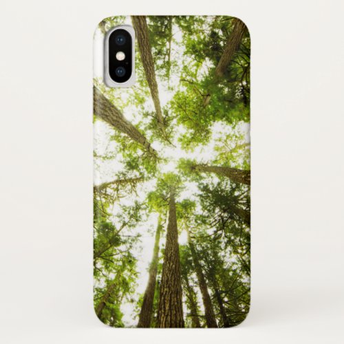 Lush Green Rain Forest iPhone X Case