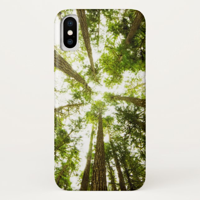 Lush Green Rain Forest Case-Mate iPhone Case (Back)
