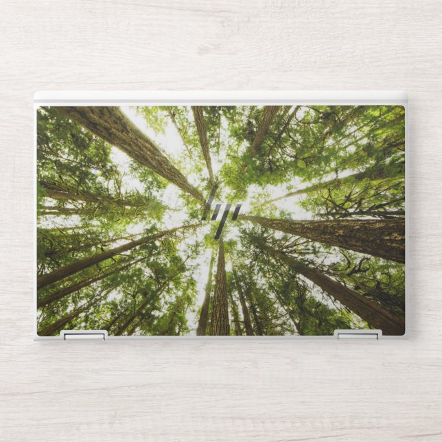 Lush Green Rain Forest HP Laptop Skin (Front)