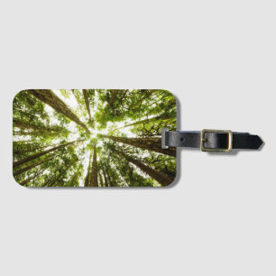 Lush Green Rain Forest Luggage Tag