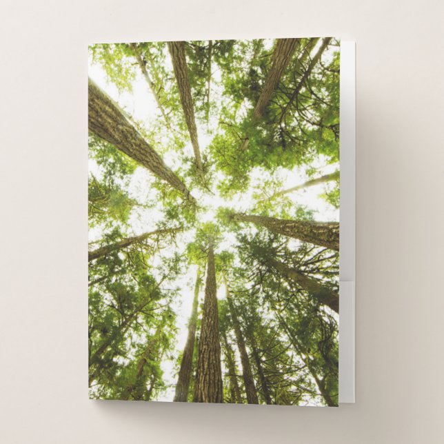 Lush Green Rain Forest Pocket Folder (Front)