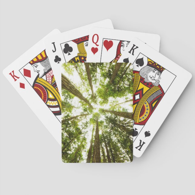 Lush Green Rain Forest Poker Cards (Back)