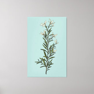 Lush Green Rosemary Sprig Painting Canvas Print