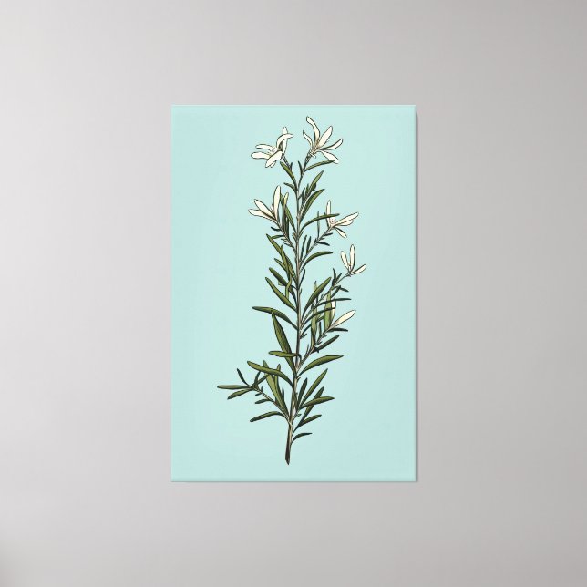 Lush Green Rosemary Sprig Painting Canvas Print (Front)
