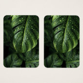 Lush Monstera Leaves with Morning Dew Drops (Front & Back)