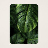 Lush Monstera Leaves with Morning Dew Drops (Back)