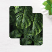 Lush Monstera Leaves with Morning Dew Drops (Desk)