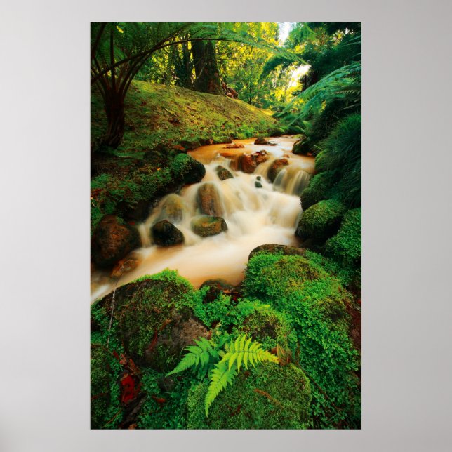 Lush Natural Colors Poster (Front)