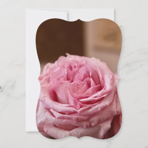 Lush Pink Rose Card