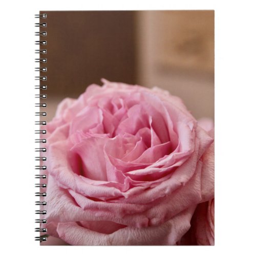 Lush Pink Rose Notebook 