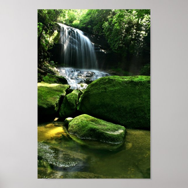 Lush Rain Forest Waterfall in Sunlight Poster (Front)