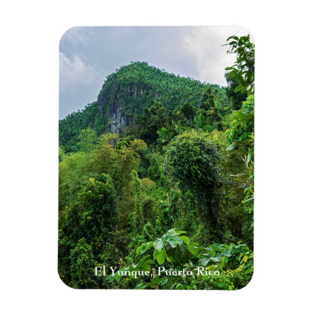 Lush rainforest and el yunque peak magnet (Vertical)