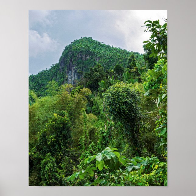 Lush rainforest and el yunque peak poster (Front)
