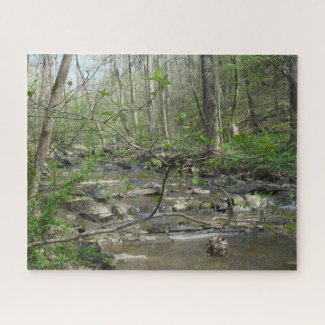 Lush Stream Jigsaw Puzzle