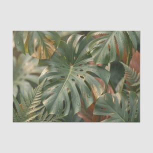 Lush Wet Monstera Leaves Ferns Tropical Jungle Tissue Paper