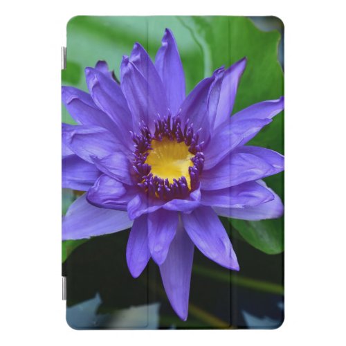 lustrous purple lotus iPad pro cover