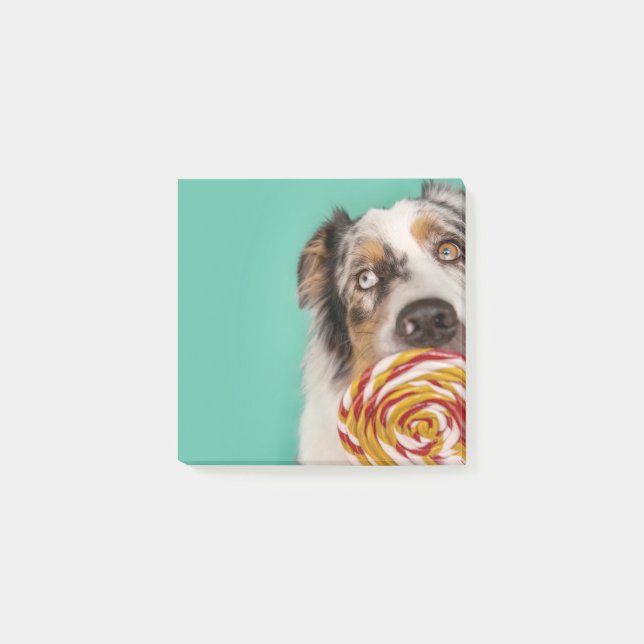 Lusy Australian Shepherd dog with lolli Post-it Notes (Front)