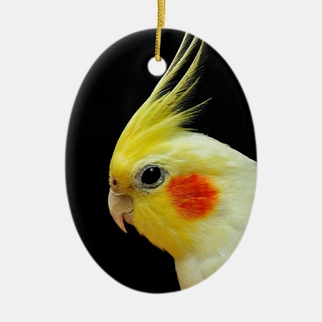 Lutino Cockatiel Ceramic Ornament (Front)