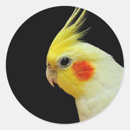 Lutino Cockatiel Classic Round Sticker