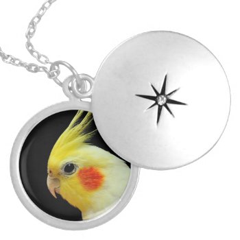 Lutino Cockatiel Locket Necklace by BirdsGallery at Zazzle