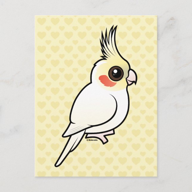Lutino Cockatiel Postcard (Front)