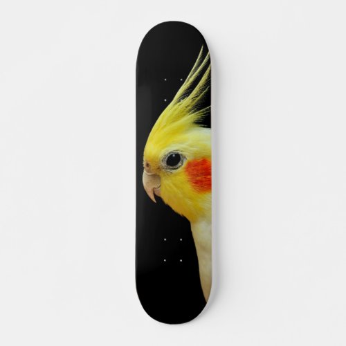 Lutino Cockatiel Skateboard