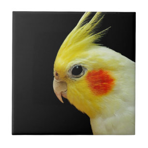 Lutino Cockatiel Tile
