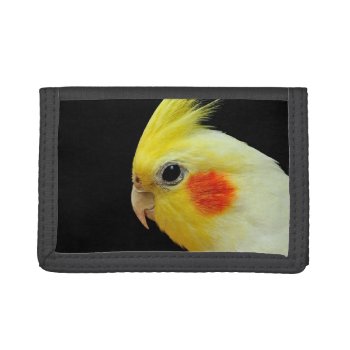 Lutino Cockatiel Trifold Wallet by BirdsGallery at Zazzle