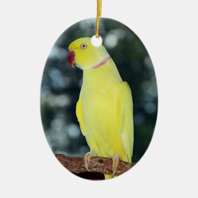Lutino Indian Ringneck Parakeet Nature Ceramic Ornament (Front)