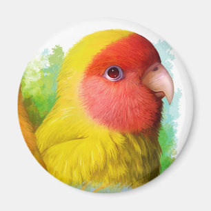 Lutino peach faced lovebird magnet