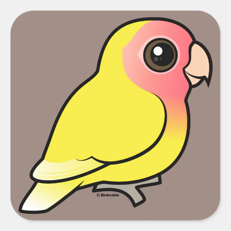 lutino peach faced lovebird