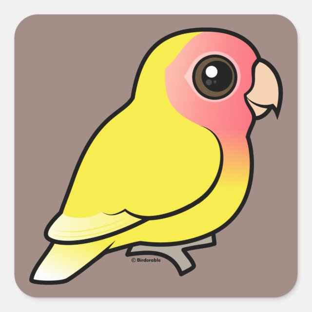Cute Lutino Peachfaced Lovebird Square Sticker