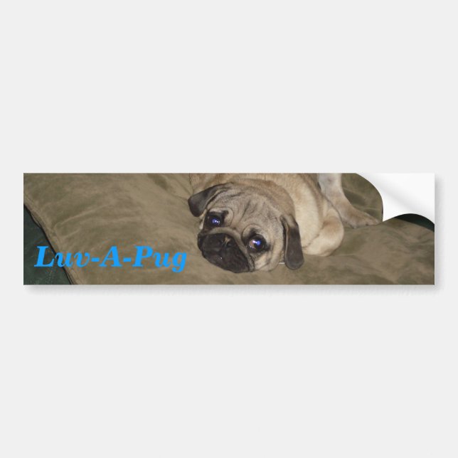 Luv-A-Pug Bumper Sticker (Front)