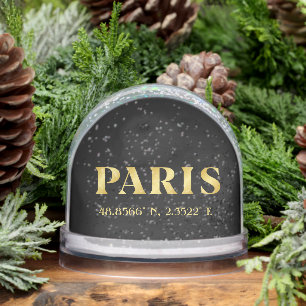Lux Gold Paris Latitude & Longitude Snow Globe