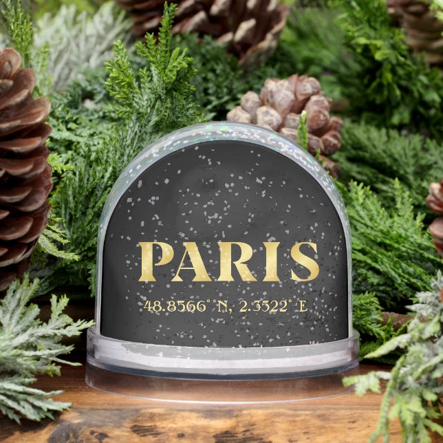 Lux Gold Paris Latitude & Longitude Snow Globe (Winter)