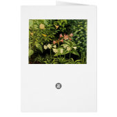 Luxuriant Garden Cards (Back)