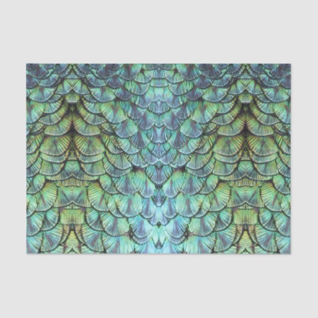 Luxurious Elegant Teal Peacock Back Feathers Tissue Paper (Front)