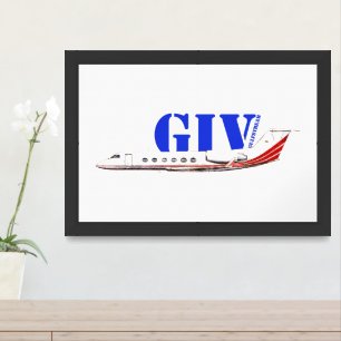 Luxurious Gulfstream IV Private Jet Framed Art