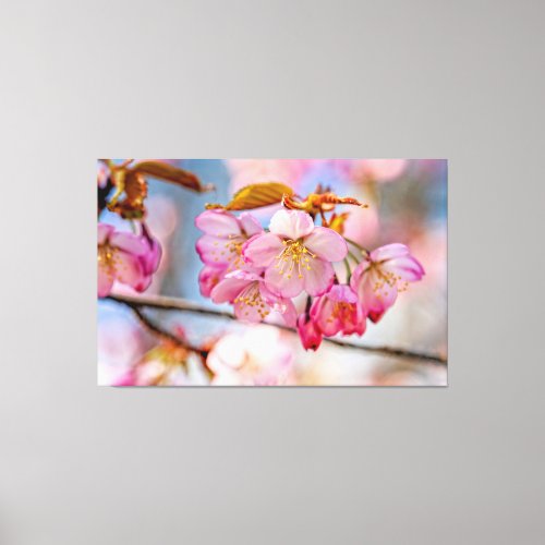Luxurious Sakura Flowers In The Spring Garden Canvas Print