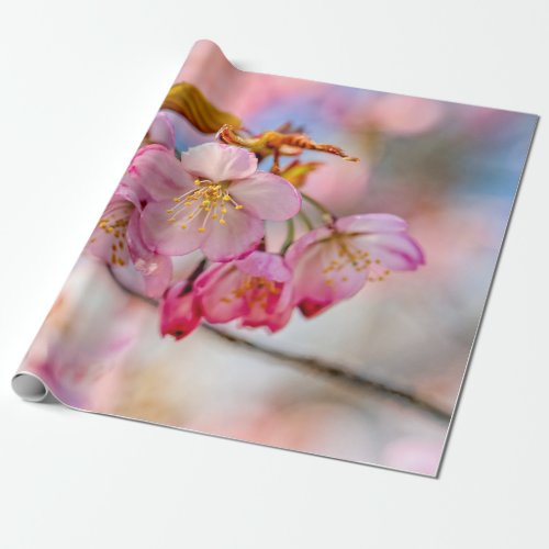 Luxurious Sakura Flowers In The Spring Garden Wrapping Paper