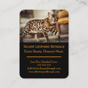 Luxury Bengal Cat Breeder Business Card – Custom