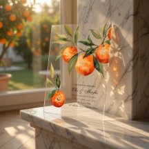 Luxury Clear Acrylic Citrus 