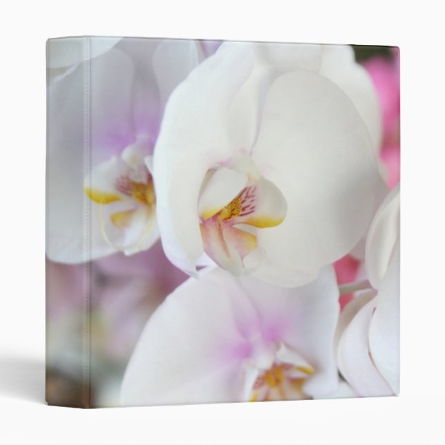 Luxury Elegant White Orchid Binder (Front/Spine)