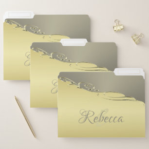Luxury gold metal decorative on gold and silver file folder