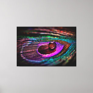 Luxury Wall Art Macro Photography Peacock Feather