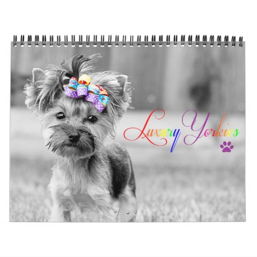 Luxury Yorkies 2014 Custom Printed Calendar